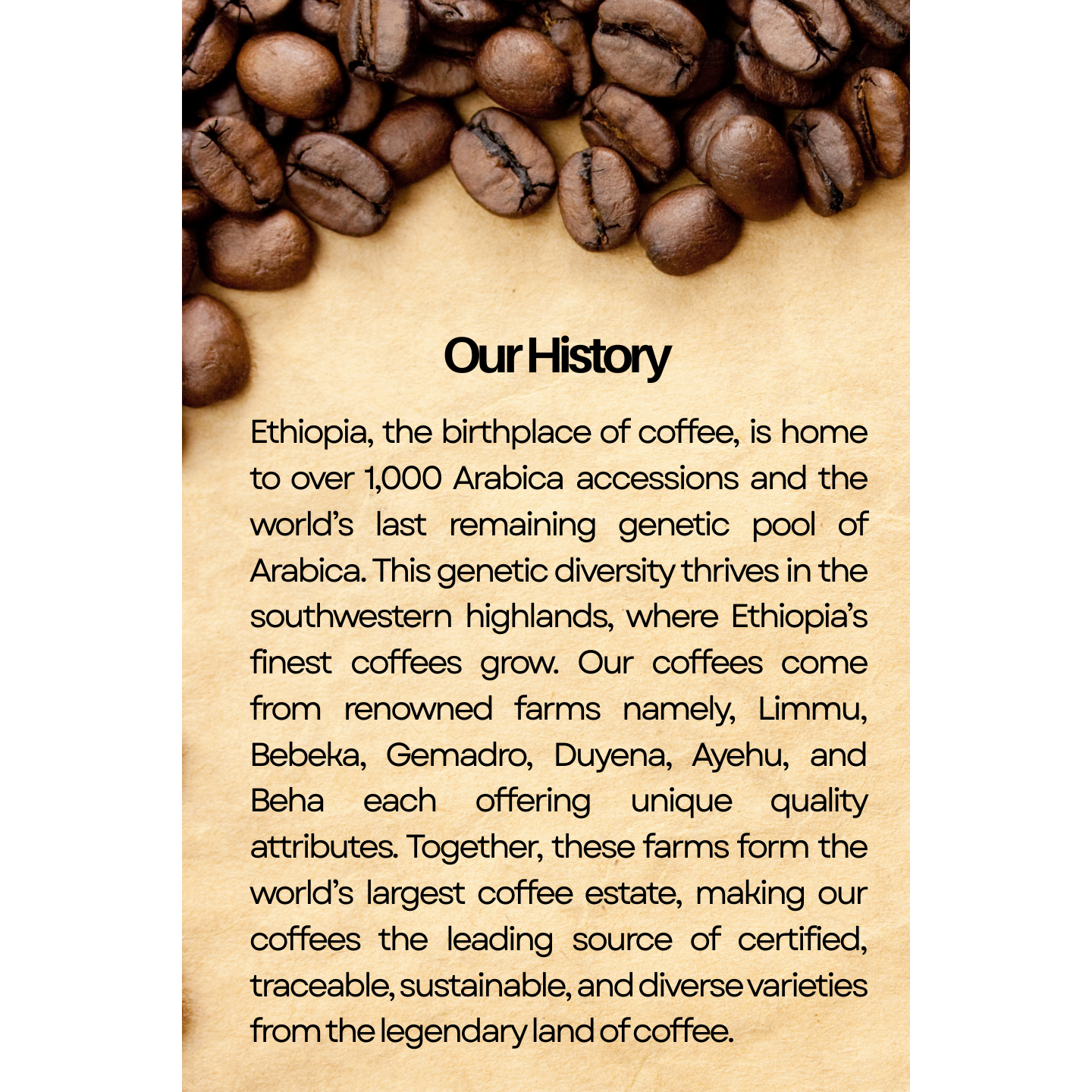 Ethiopian Filter Ground Coffee, 100% Arabica, Speciality Coffee